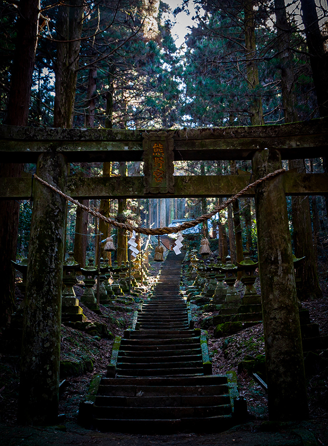 일본 여행중 사진